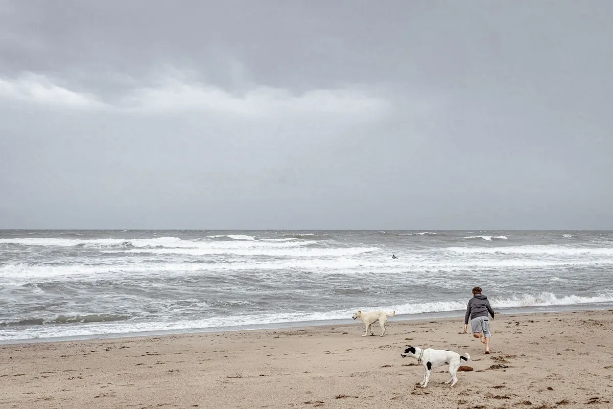 Tide Times for Dog Walks: How to Avoid Getting Cut Off